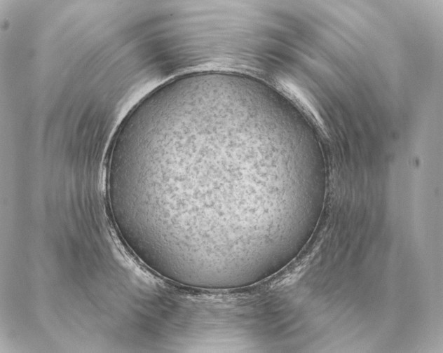 X0000087380900200705111732