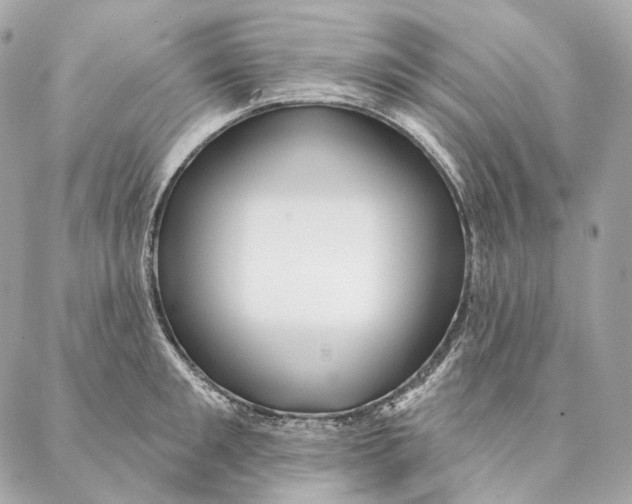 X0000087380901200705111732