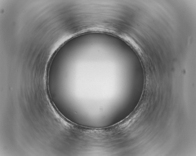 X0000087380902200705111732