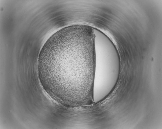 X0000087380903200705111732