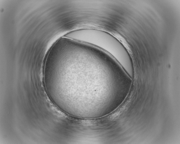 X0000087380904200705111732