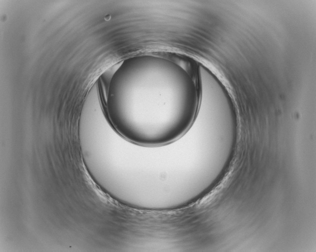 X0000087380905200705111732