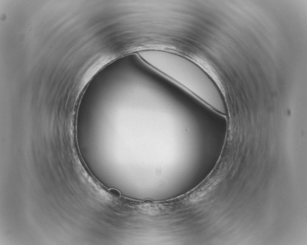 X0000087380906200705111732