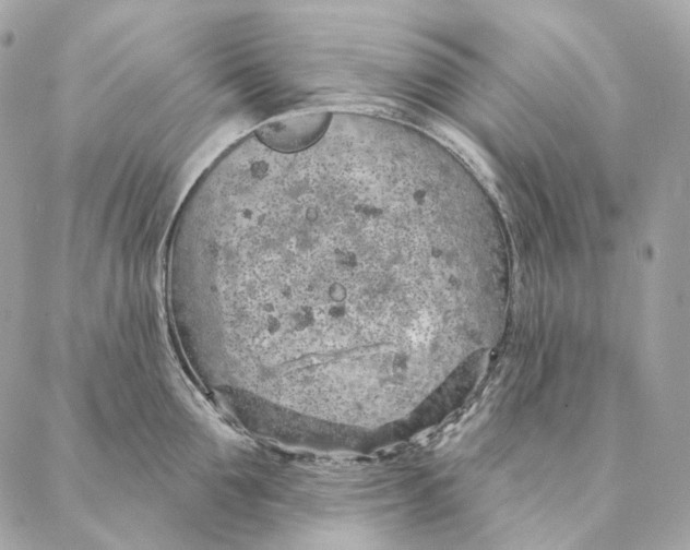 X0000087380907200705111732