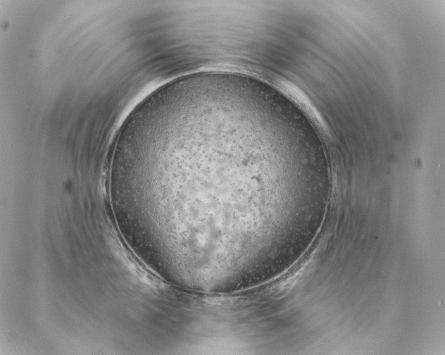 X0000087380908200705111732