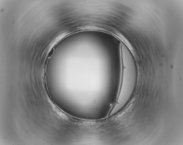 X0000087380909200705111732