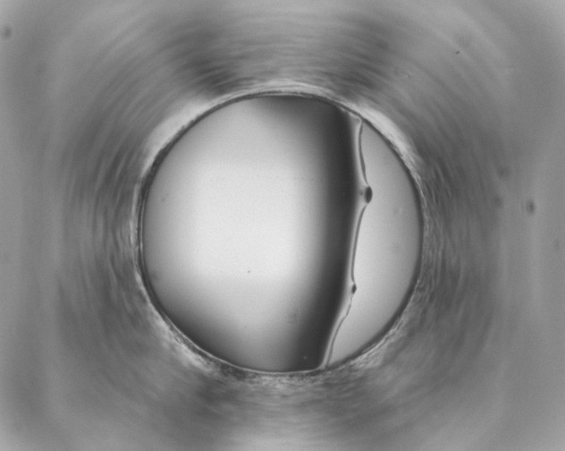 X0000087380910200705111732