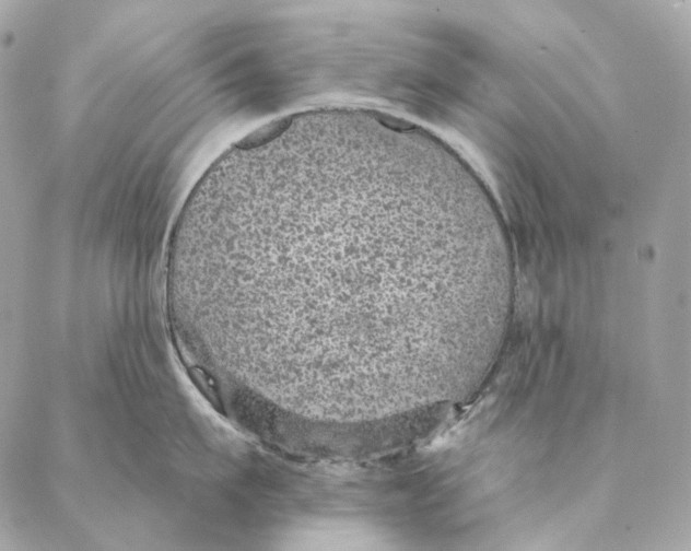 X0000087380911200705111732