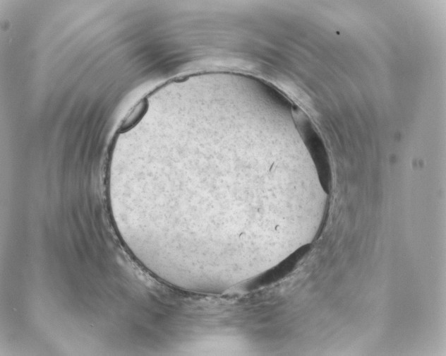 X0000087380912200705111732