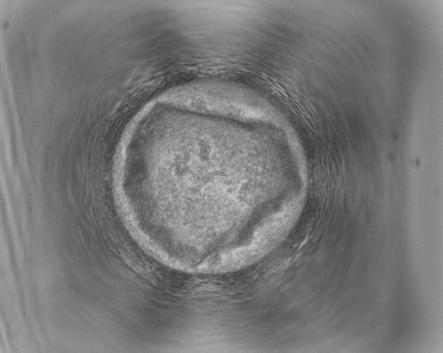 X0000087380913200705111731