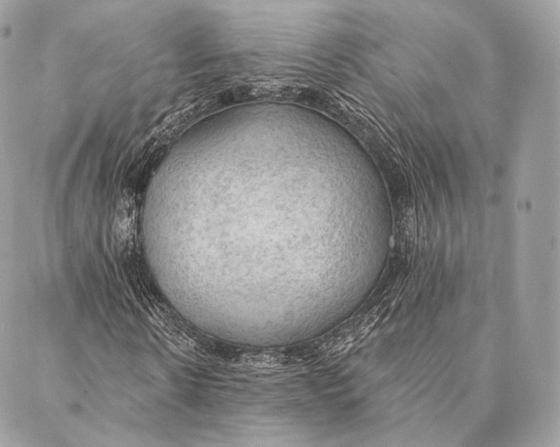 X0000087380914200705111731