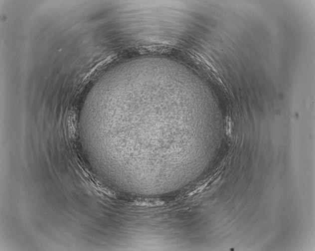 X0000087380915200705111731