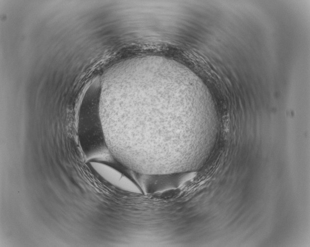 X0000087380916200705111731