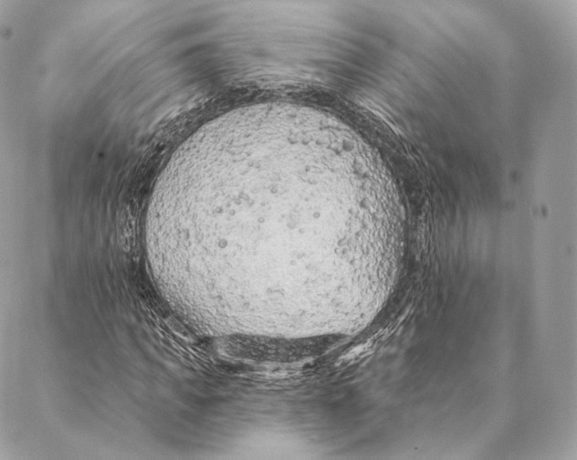 X0000087380917200705111731