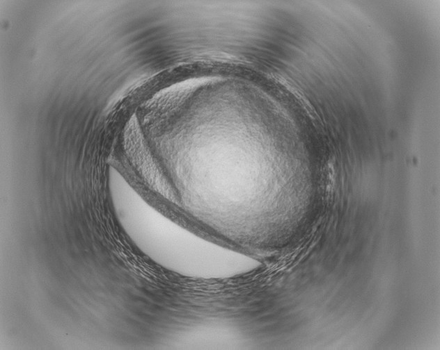 X0000087380919200705111731