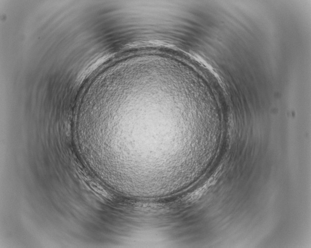 X0000087380921200705111731