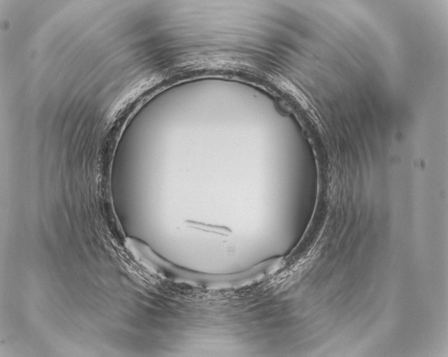 X0000087380922200705111731