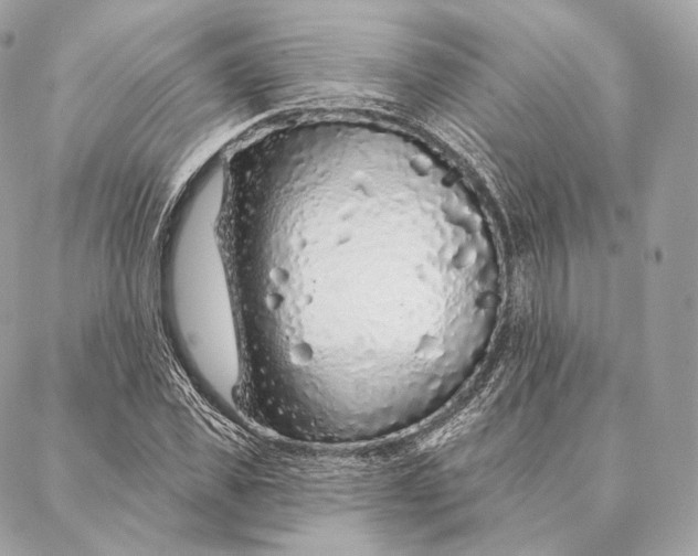 X0000087380925200705111732