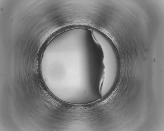 X0000087380926200705111732