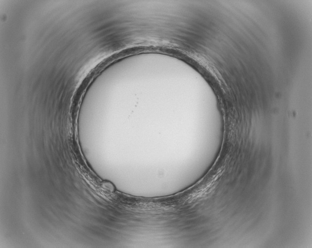 X0000087380927200705111732