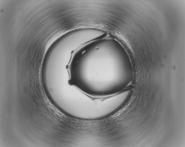 X0000087380928200705111732