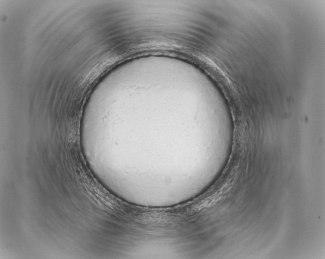 X0000087380929200705111732