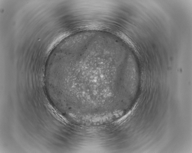 X0000087380930200705111732