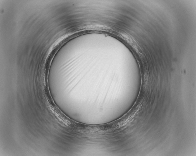 X0000087380931200705111732