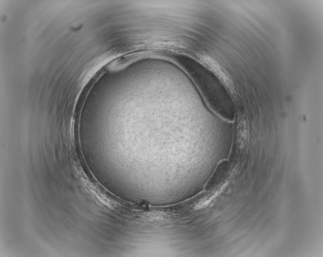 X0000087380932200705111732