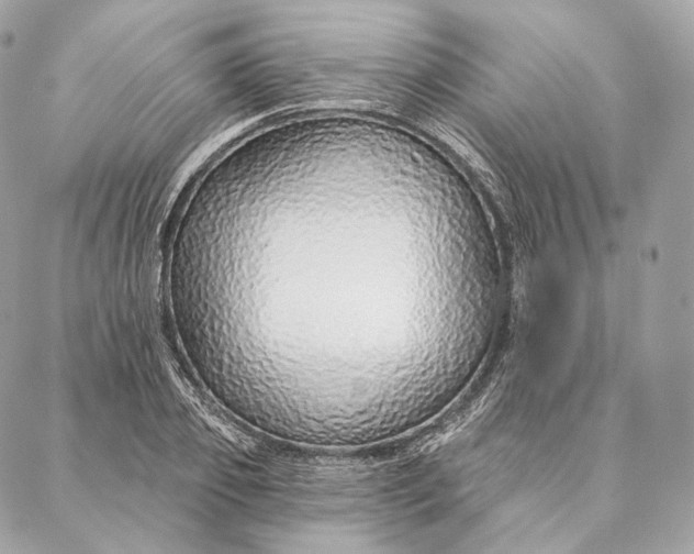 X0000087380933200705111732