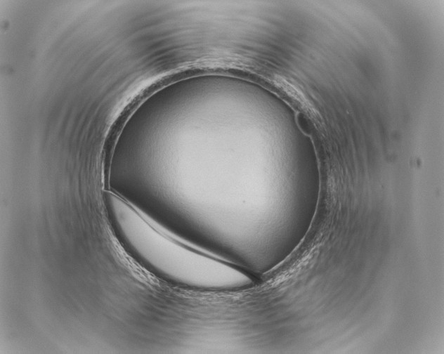 X0000087380934200705111732