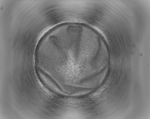 X0000087380935200705111732