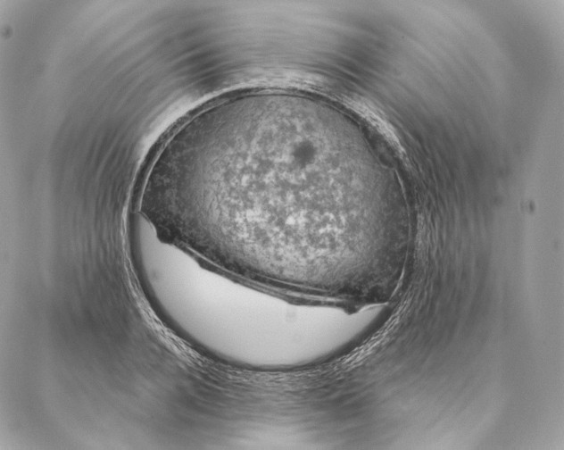 X0000087380936200705111732