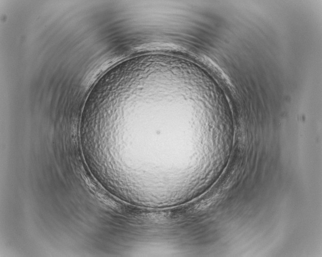 X0000087380937200705111732