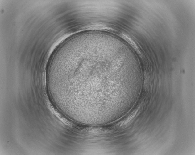 X0000087380939200705111732