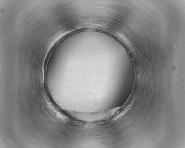 X0000087380940200705111732