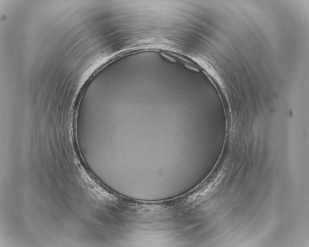 X0000087380941200705111732