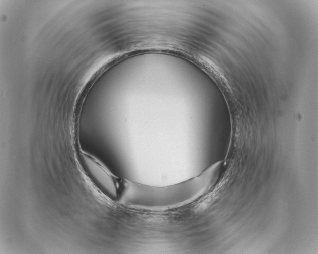 X0000087380942200705111732