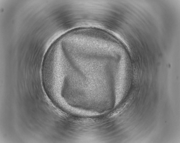 X0000087380943200705111732