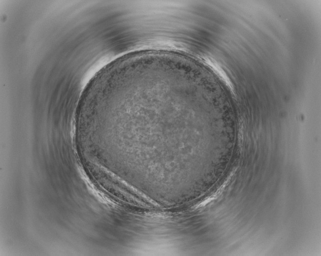 X0000087380944200705111732