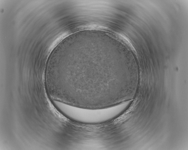 X0000087380946200705111732