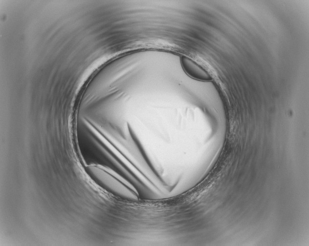 X0000087380947200705111732