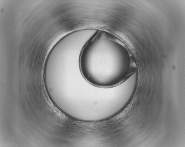 X0000087380948200705111732