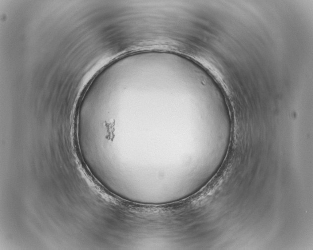 X0000087380949200705111732