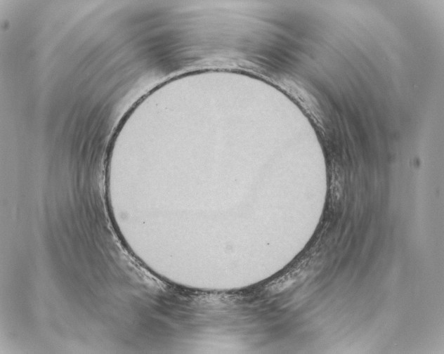 X0000087380950200705111732