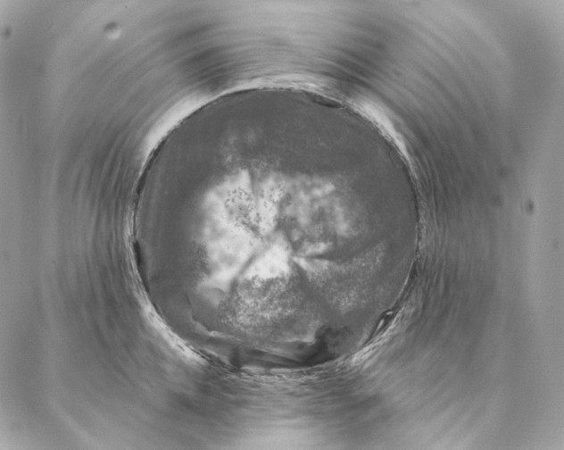 X0000087380952200705111732