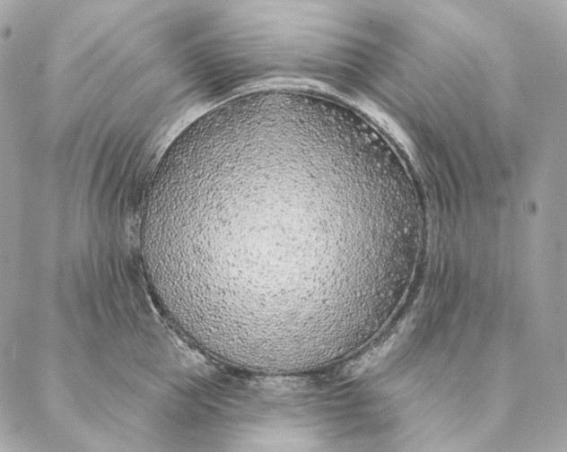 X0000087380953200705111732