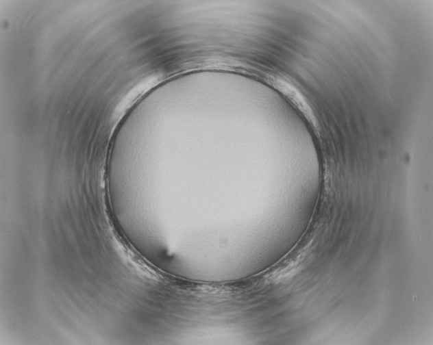 X0000087380954200705111732