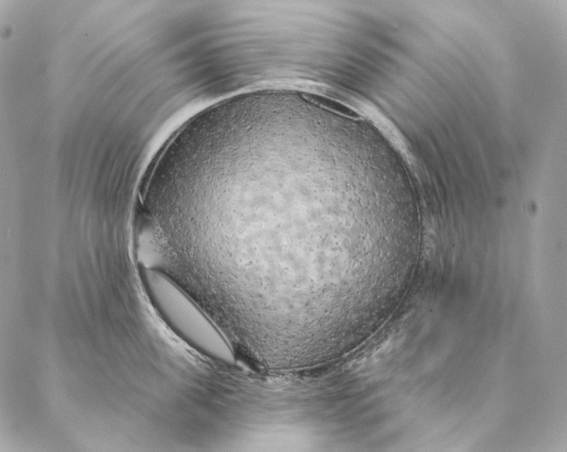 X0000087380955200705111732