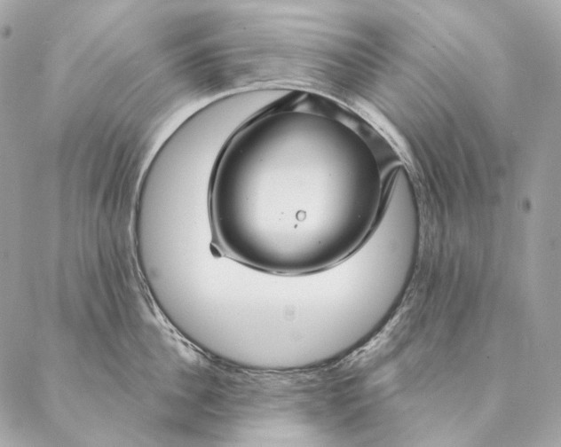 X0000087380956200705111732